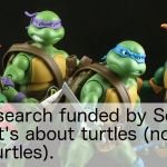 New turtle research brought to you by SciFund crowdfunding!